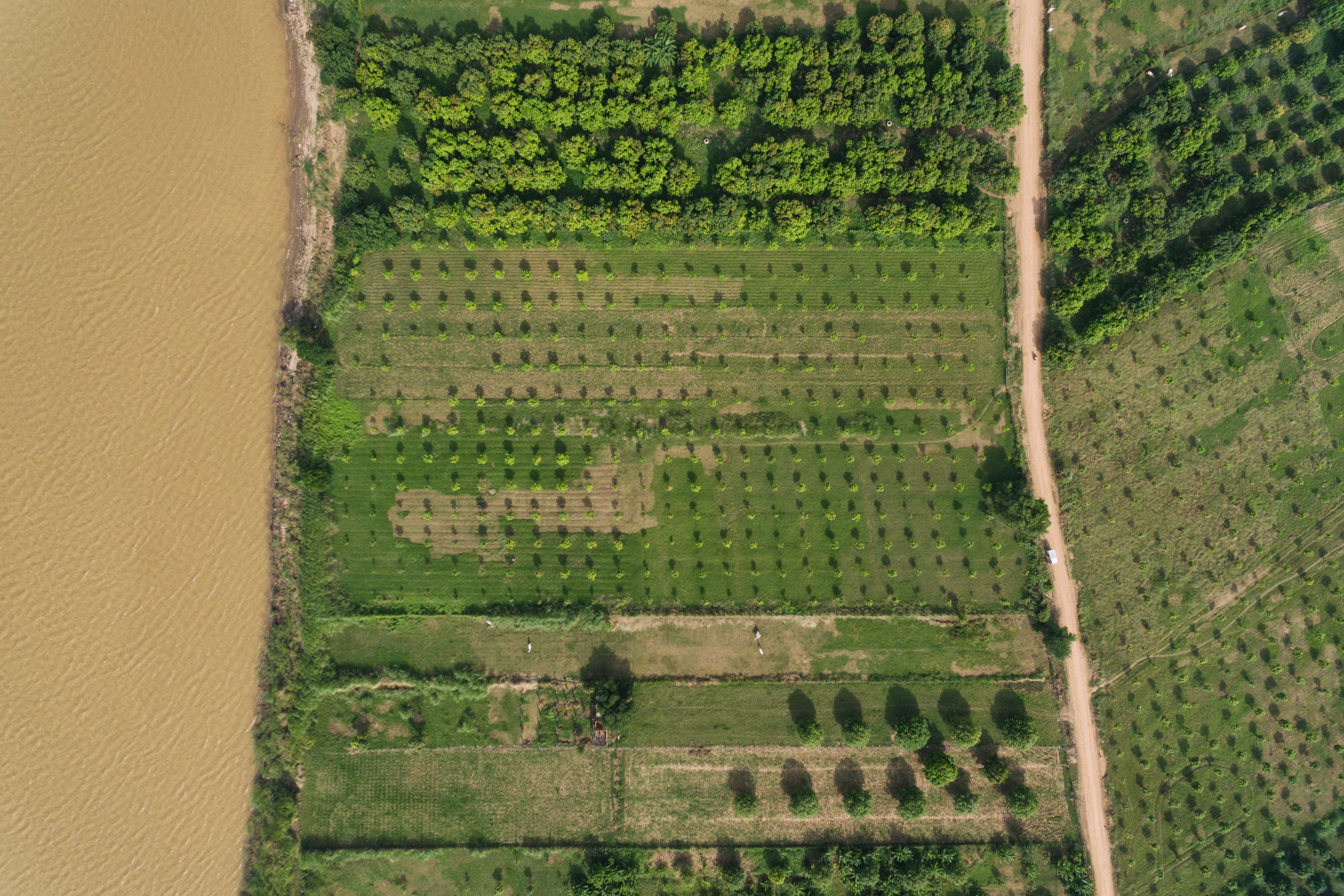 koh dach island, phnom penh (2).webp